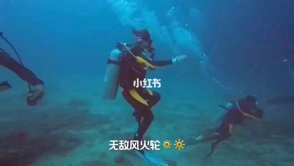 机智问答网页-聪明才智的父母一方是黑户,征信不好,会不会影响子报考公务员和警校?平台